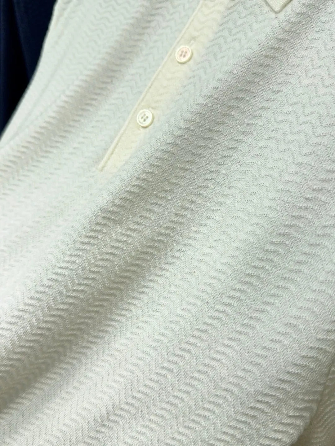Italian LP light luxury men's clothing 25 summer high version mulberry silk mixed cashmere lapel short-sleeved casual polo shirt